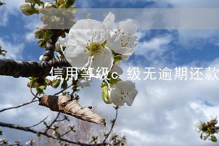 信用等级c级无逾期还款