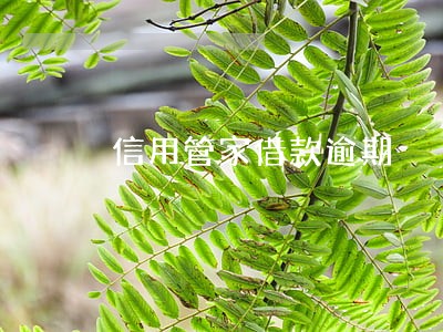 信用管家借款逾期 信用管家借款逾期