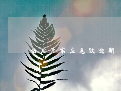 信用管家应急款逾期 信用管家应急款逾期