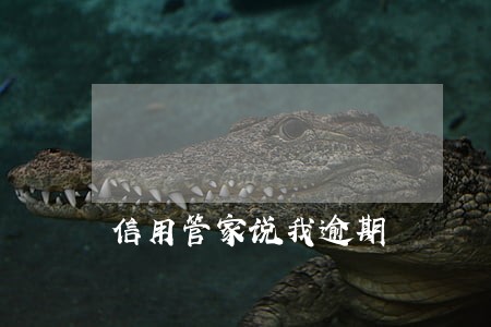 信用管家说我逾期 信用管家说我逾期