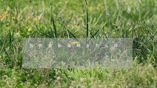 信用管家逾期会怎么样 信用管家逾期会怎么样