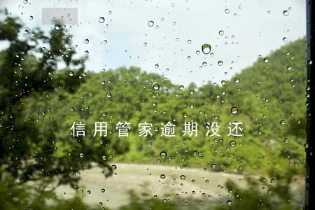 信用管家逾期没还 信用管家逾期没还