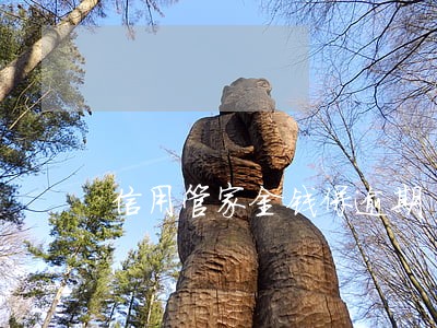 信用管家金钱保逾期 信用管家金钱保逾期