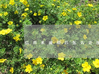 信用米逾期后怎么处理 信用米逾期后怎么处理