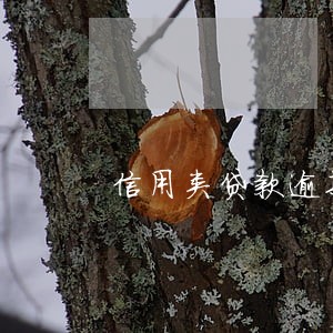 信用类贷款逾期30天以上