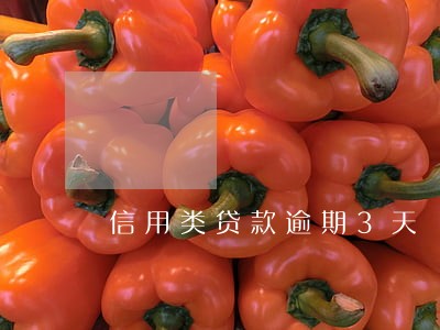 信用类贷款逾期3天