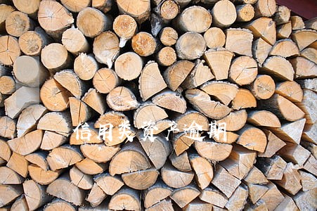 信用类资产逾期