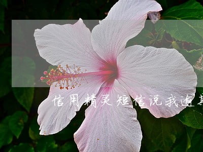 信用精灵短信说我逾期 信用精灵短信说我逾期