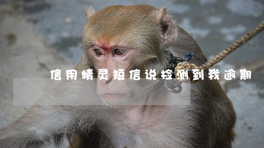 信用精灵短信说检测到我逾期 信用精灵短信说检测到我逾期