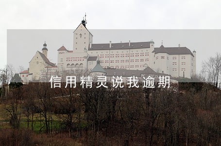 信用精灵说我逾期 信用精灵说我逾期