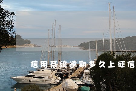 信用系统逾期多久上征信 信用系统逾期多久上征信