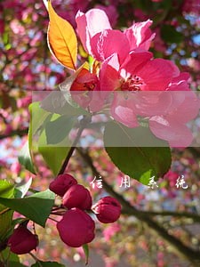 信用系统逾期未公示怎么办 信用系统逾期未公示怎么办
