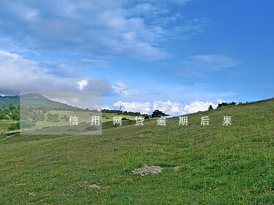 信用网贷逾期后果 信用网贷逾期后果