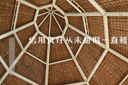 信用良好从未逾期一直被拒 信用良好从未逾期一直被拒