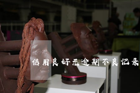 信用良好无逾期不良记录 信用良好无逾期不良记录