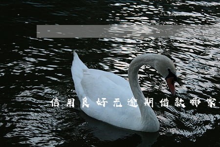 信用良好无逾期借款哪家好 信用良好无逾期借款哪家好