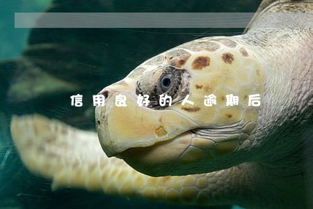 信用良好的人逾期后