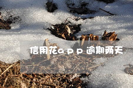 信用花app逾期两天 信用花app逾期两天
