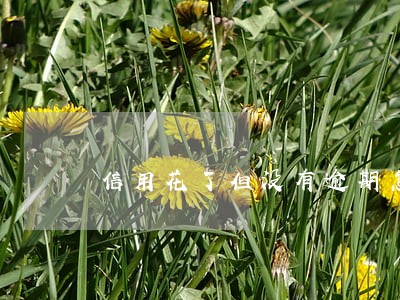 信用花了但没有逾期怎么贷款 信用花了但没有逾期怎么贷款