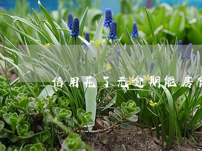 信用花了无逾期能房贷款吗 信用花了无逾期能房贷款吗