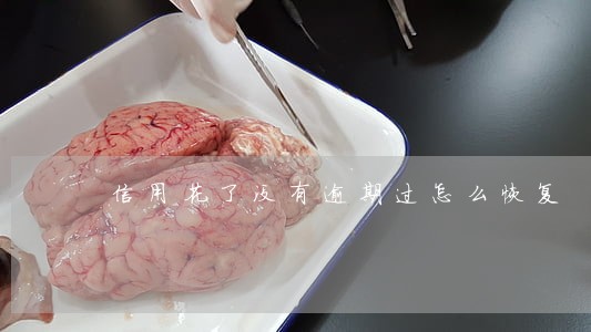 信用花了没有逾期过怎么恢复 信用花了没有逾期过怎么恢复