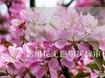 信用花无逾期买房审核容易过吗 信用花无逾期买房审核容易过吗
