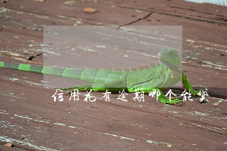 信用花有逾期哪个能贷 信用花有逾期哪个能贷