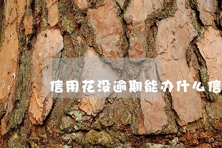 信用花没逾期能办什么信用卡 信用花没逾期能办什么信用卡