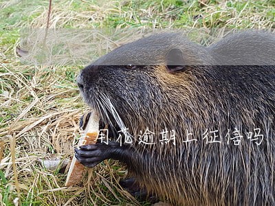信用花逾期上征信吗