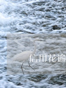 信用花逾期怎么办 信用花逾期怎么办