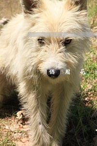 信用花逾期怎么处理 信用花逾期怎么处理