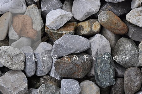 信用记录两年6次逾期 信用记录两年6次逾期
