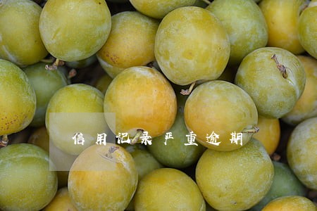 信用记录严重逾期 信用记录严重逾期