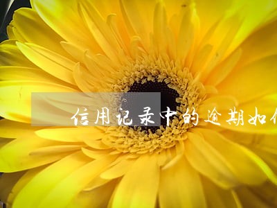 信用记录中的逾期如何消除