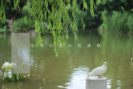 信用记录以前逾期 信用记录以前逾期