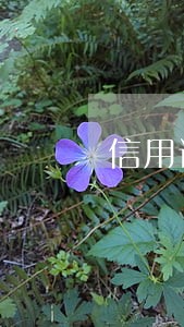 信用记录信用卡逾期更新 信用记录信用卡逾期更新