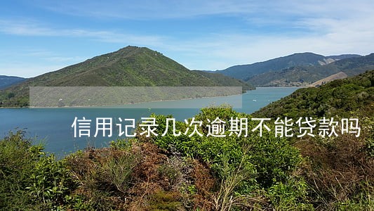 信用记录几次逾期不能贷款吗 信用记录几次逾期不能贷款吗