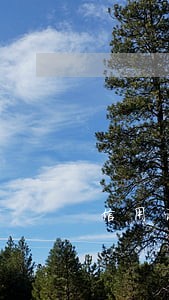 信用记录有1次逾期 信用记录有1次逾期