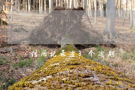 信用记录有3个逾期 信用记录有3个逾期