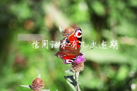 信用记录有几次逾期 信用记录有几次逾期