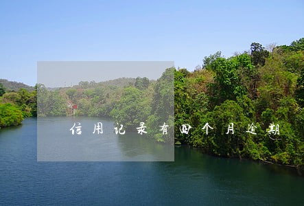 信用记录有四个月逾期 信用记录有四个月逾期