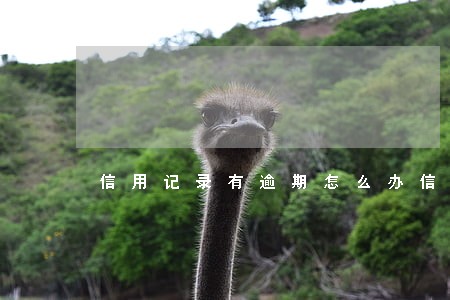 信用记录有逾期怎么办信用卡 信用记录有逾期怎么办信用卡