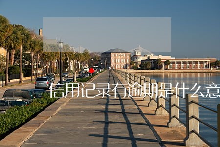 信用记录有逾期是什么意思