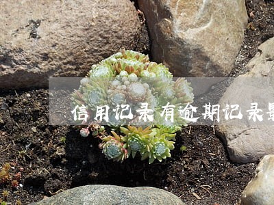 信用记录有逾期记录影响政审吗