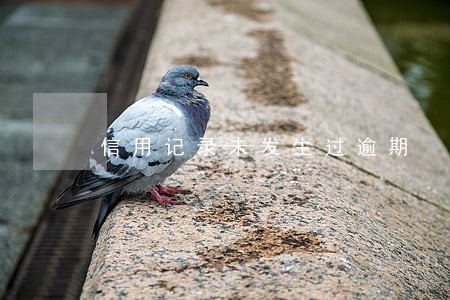 信用记录未发生过逾期 信用记录未发生过逾期