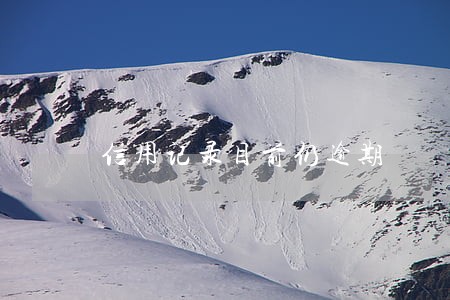 信用记录目前仍逾期 信用记录目前仍逾期