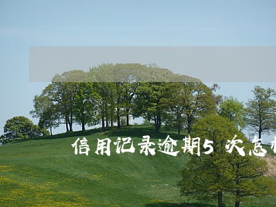 信用记录逾期5次怎样贷款 信用记录逾期5次怎样贷款