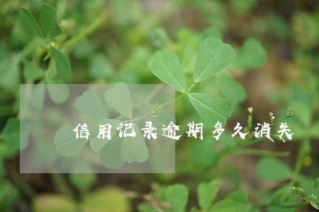 信用记录逾期多久消失 信用记录逾期多久消失