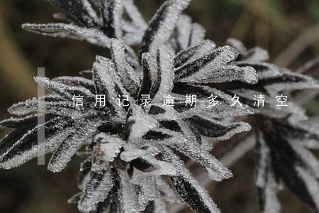 信用记录逾期多久清空 信用记录逾期多久清空