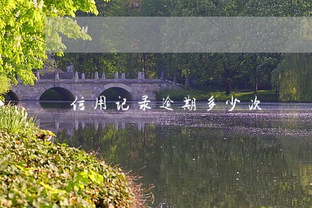 信用记录逾期多少次 信用记录逾期多少次